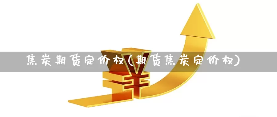 焦炭期货定价权(期货焦炭定价权)_https://www.ajjbj.com_黄金保证金查询_第1张